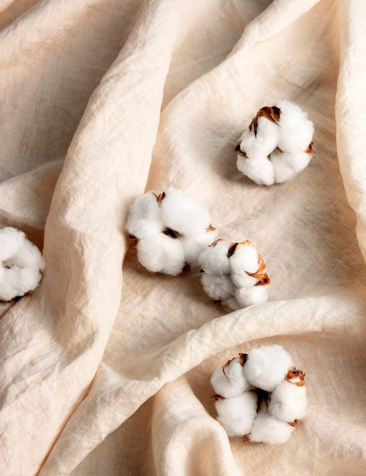 Do you really believe you’re wearing organic cotton?